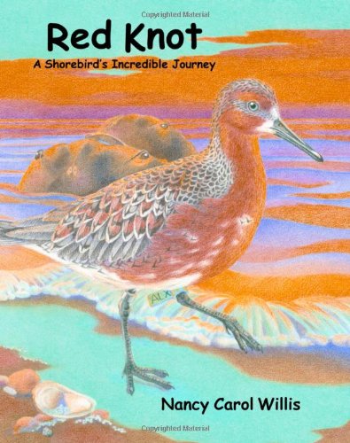 Red Knot: A Shorebird's Incredible Journey Non-fiction