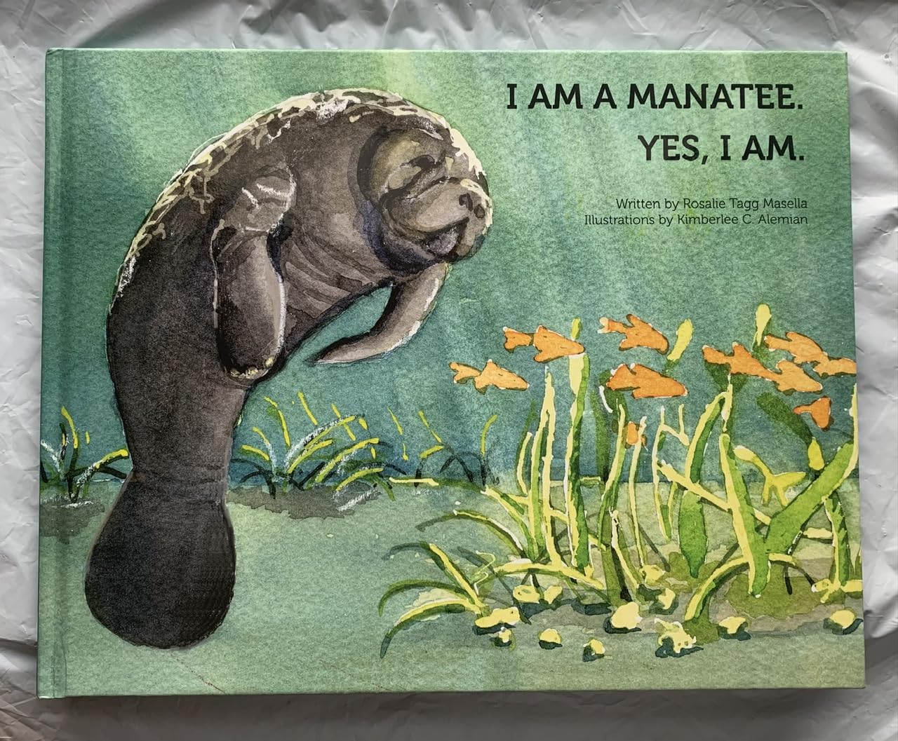 I am a Manatee. Yes, I am Children's books