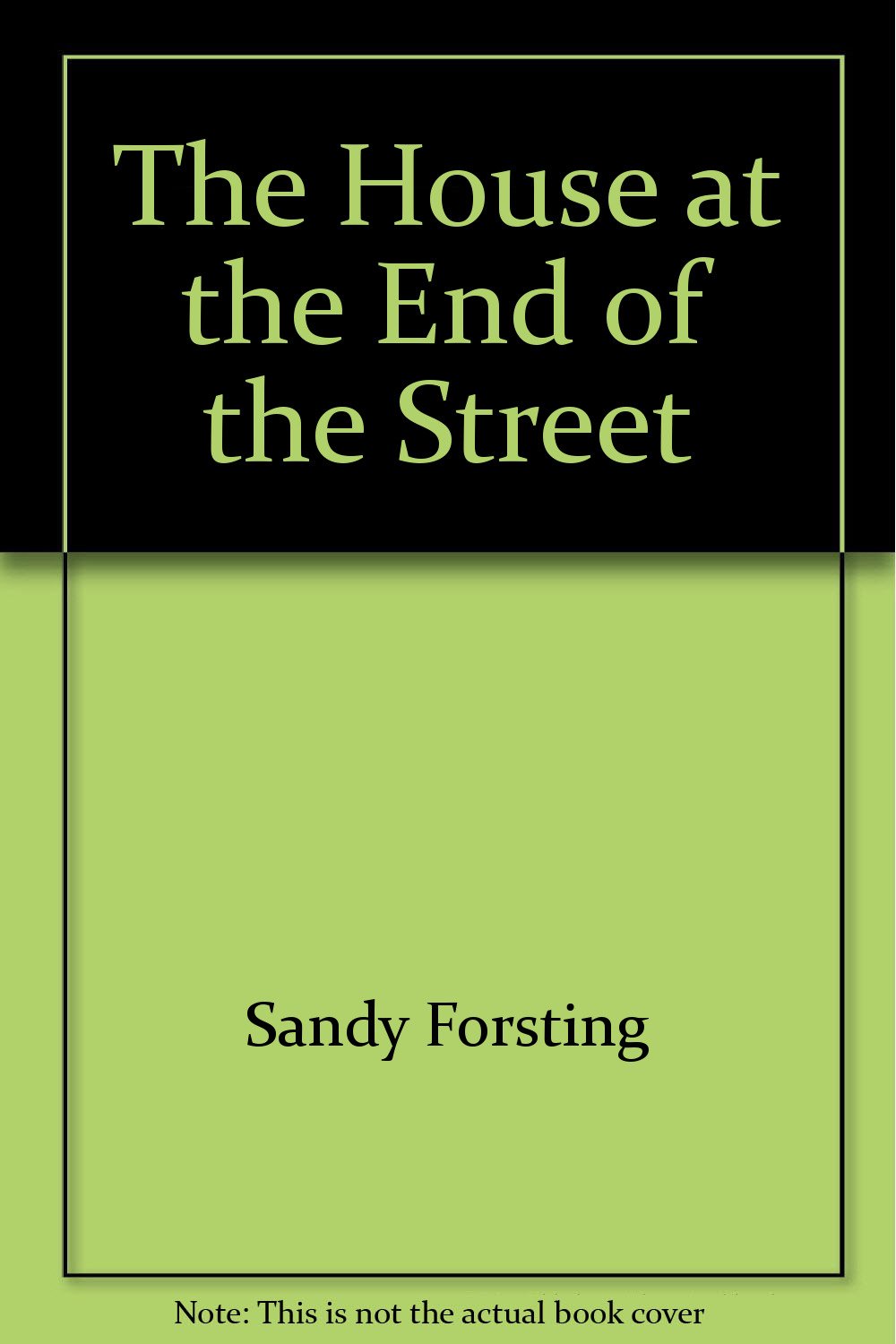 House at the End of the Street book