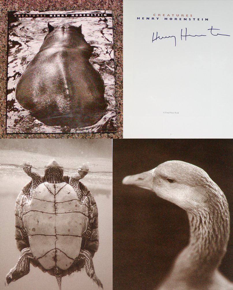 Creatures Photography