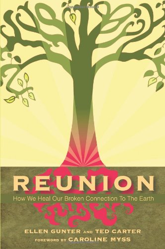 Reunion: How We Heal Our Broken Connection to the Earth Religion & Esotericism