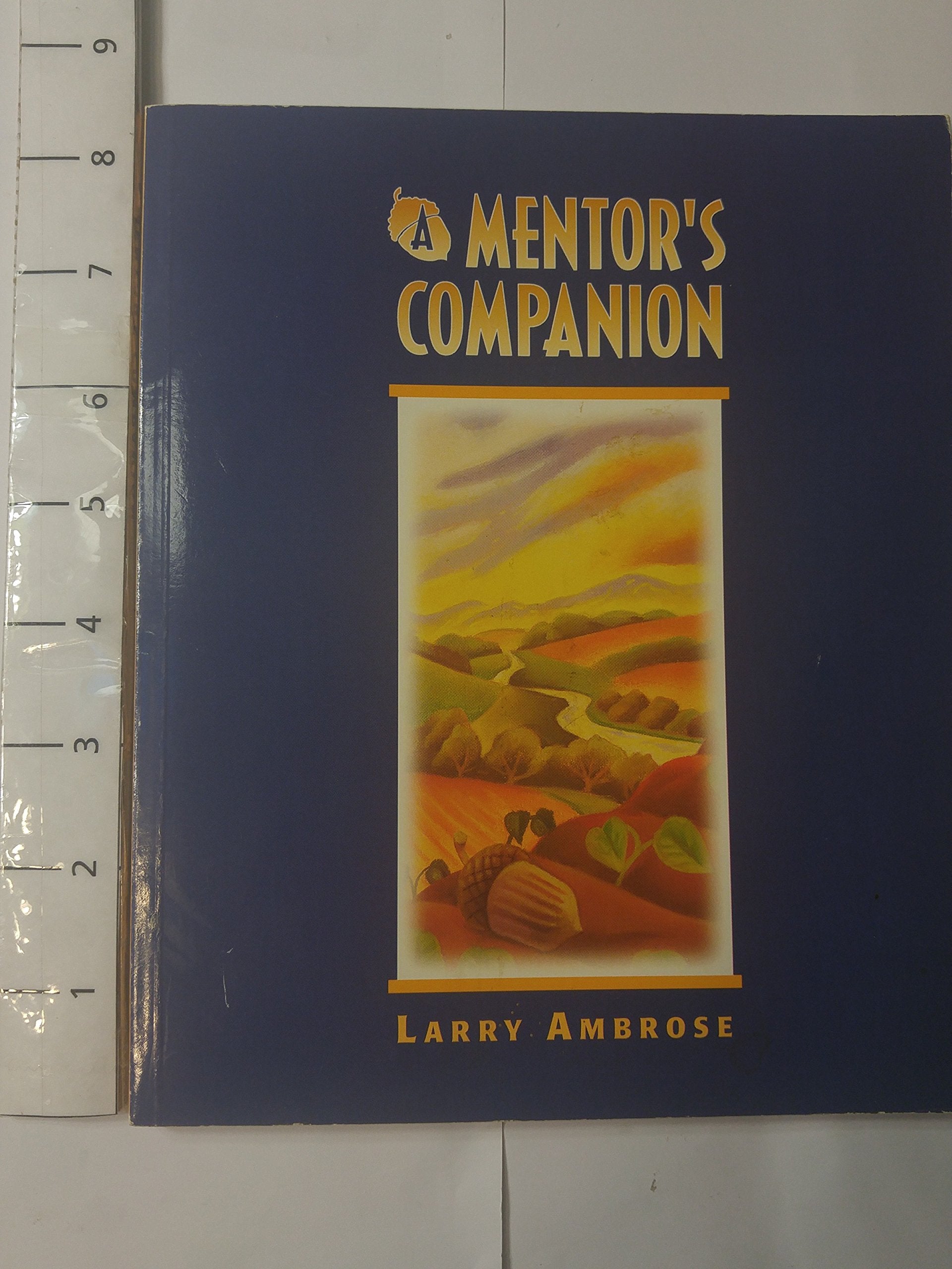 A Mentor's Companion Business, Finance & Career