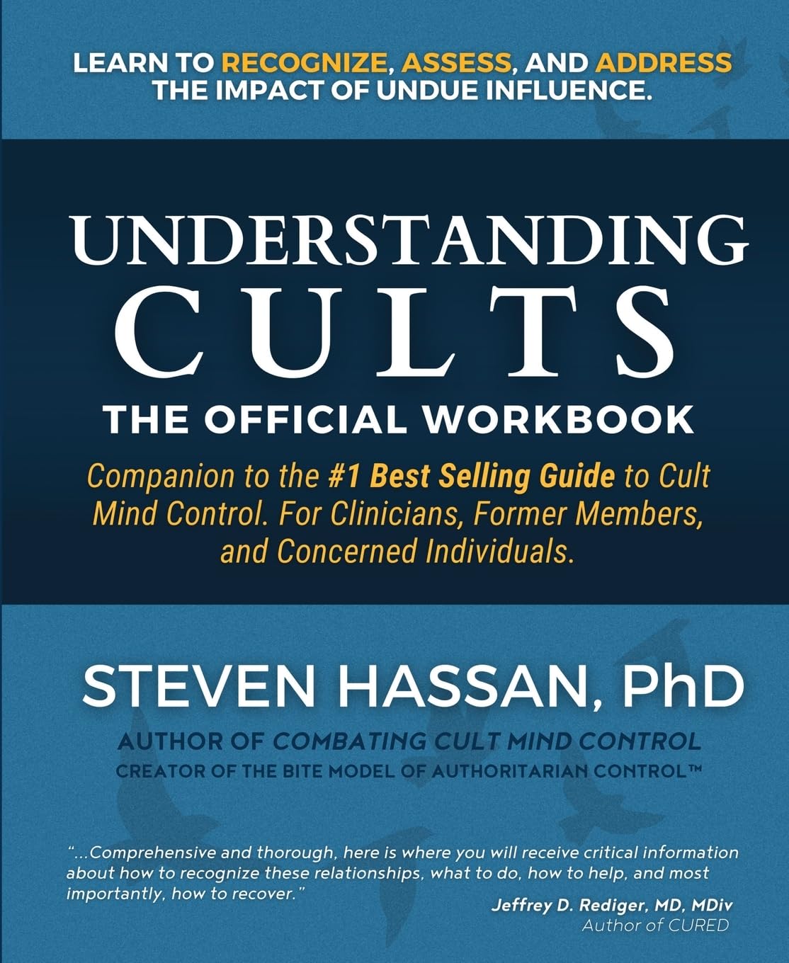 Product Image: Understanding Cults