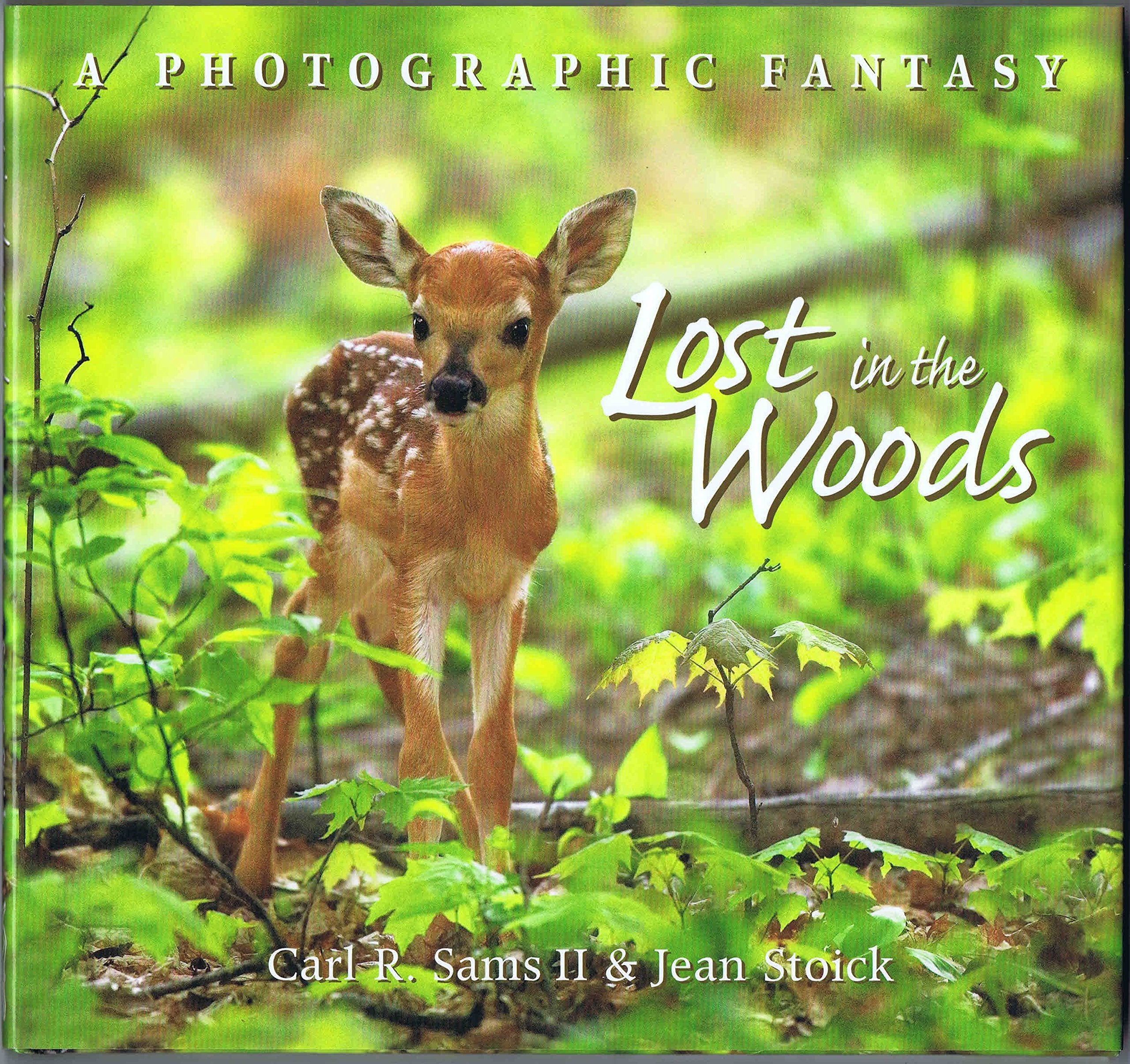 Lost in the Woods: A Photographic Fantasy Novels & Short Stories