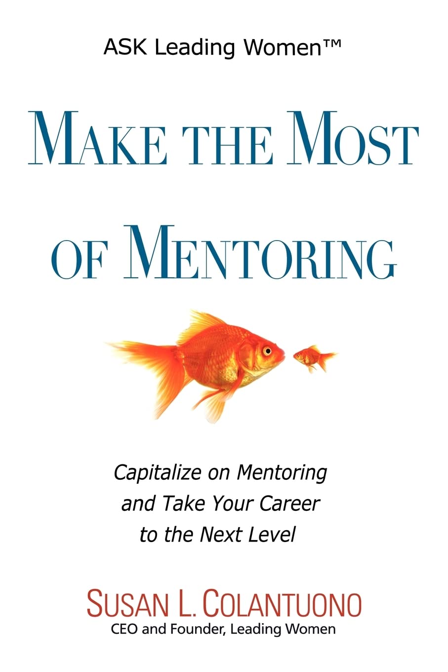 Make the Most of Mentoring Business, Finance & Career