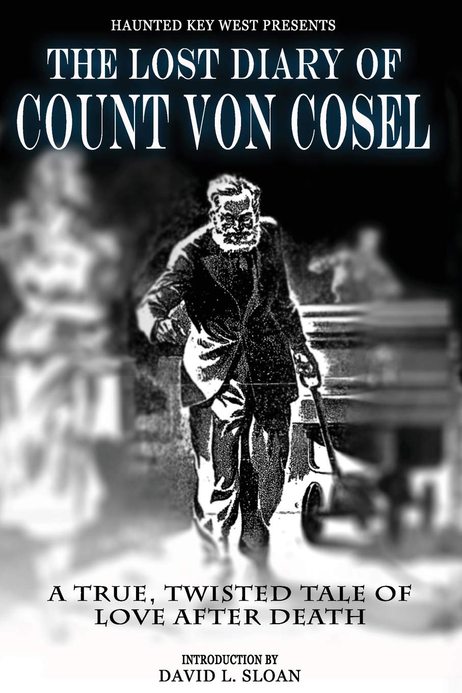 The Lost Diary Of Count Von Cosel book