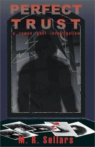 Perfect Trust: A Rowan Gant Investigation (The Rowan Gant Investigations, 3) Detective & CSI