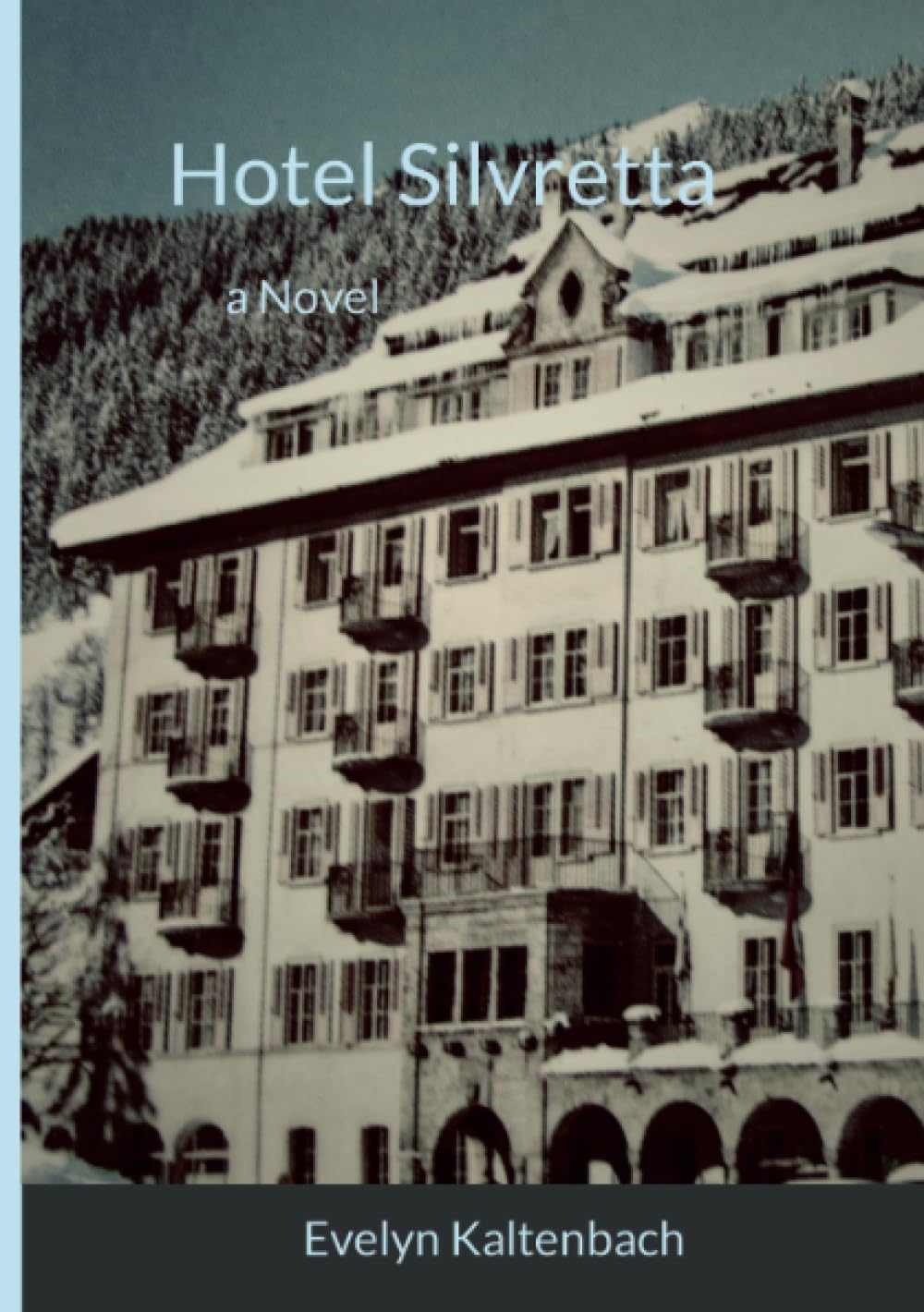 Product Image: Hotel Silvretta