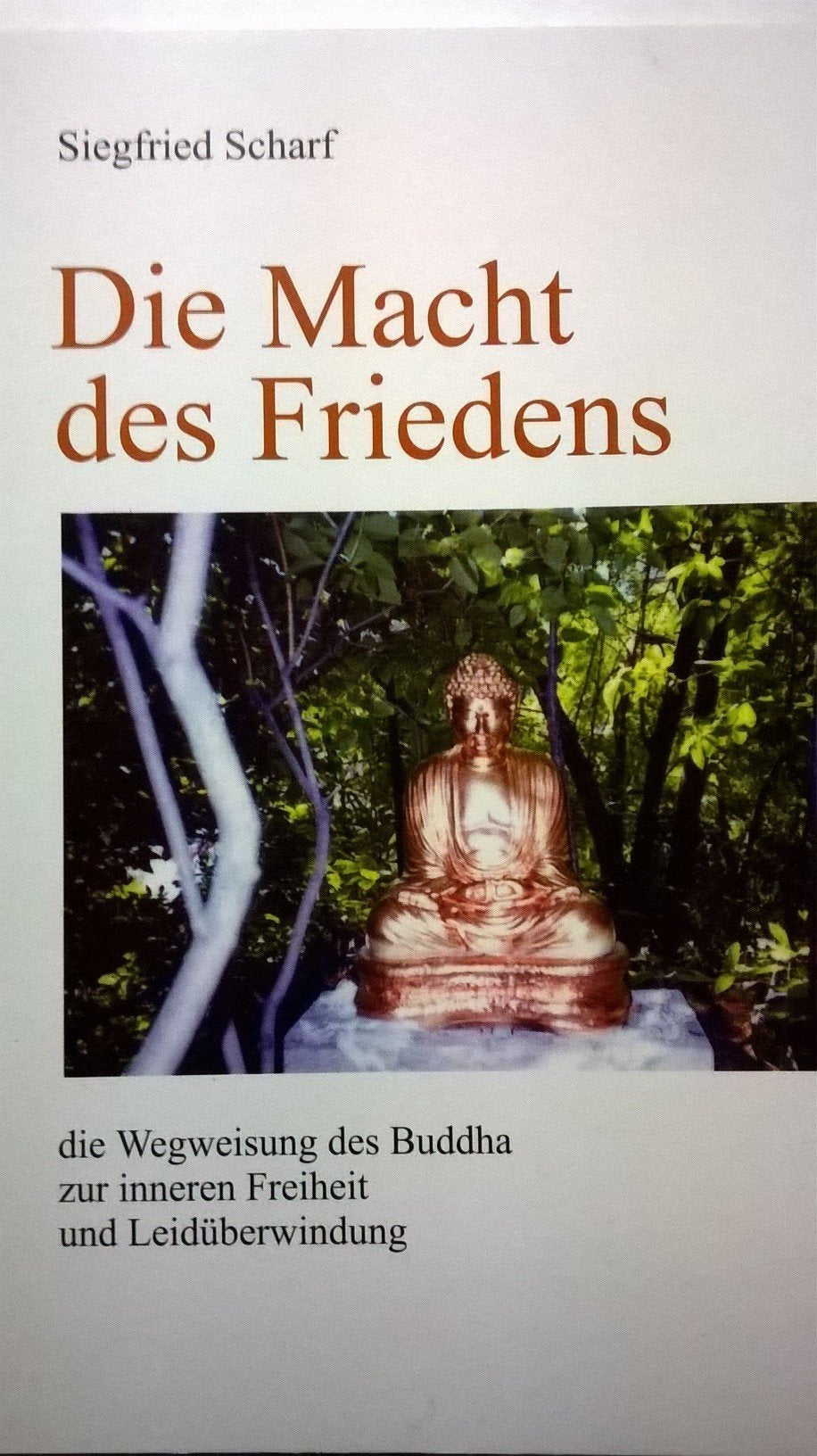 Die Macht des Friedens die Wegweisung des Buddha zur inneren Freiheit und Leidüberwindung. Books