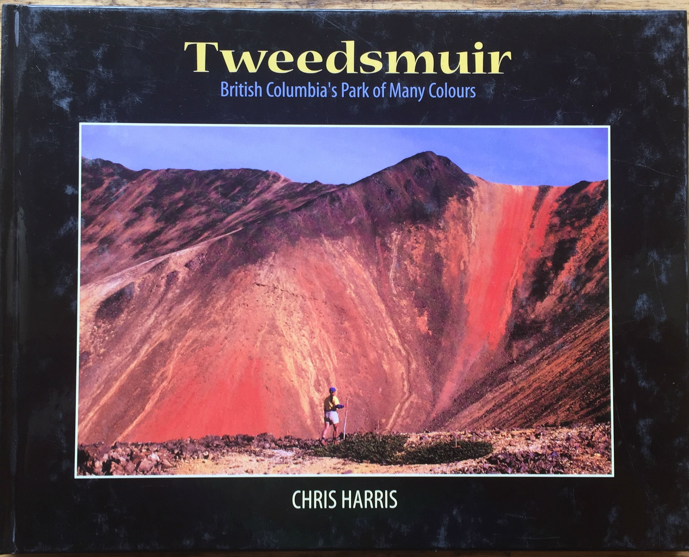Tweedsmuir, south: British Columbia's park of many colours (Discover British Columbia books) book