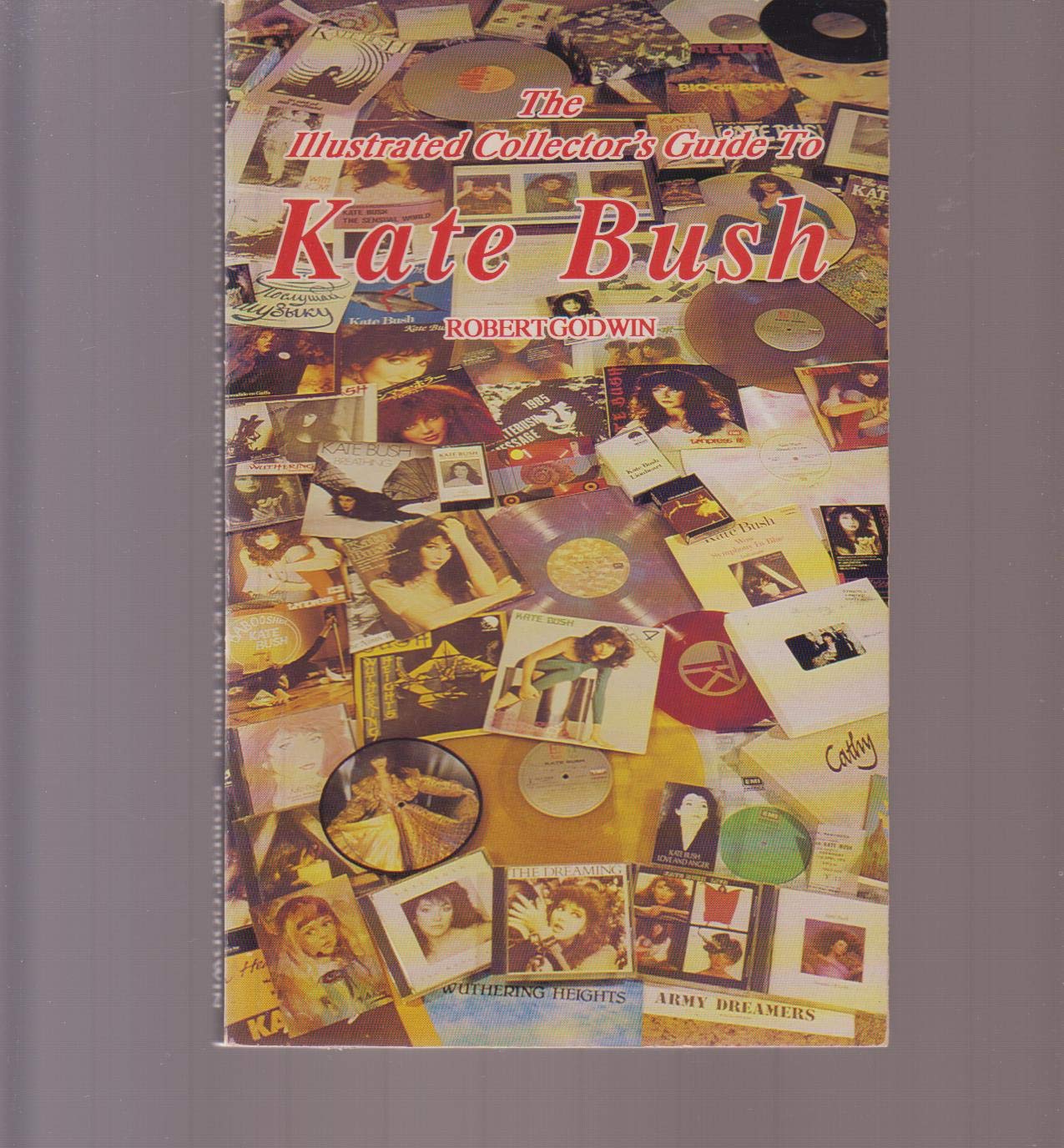 The Illustrated Collector's Guide to Kate Bush Arts & Music