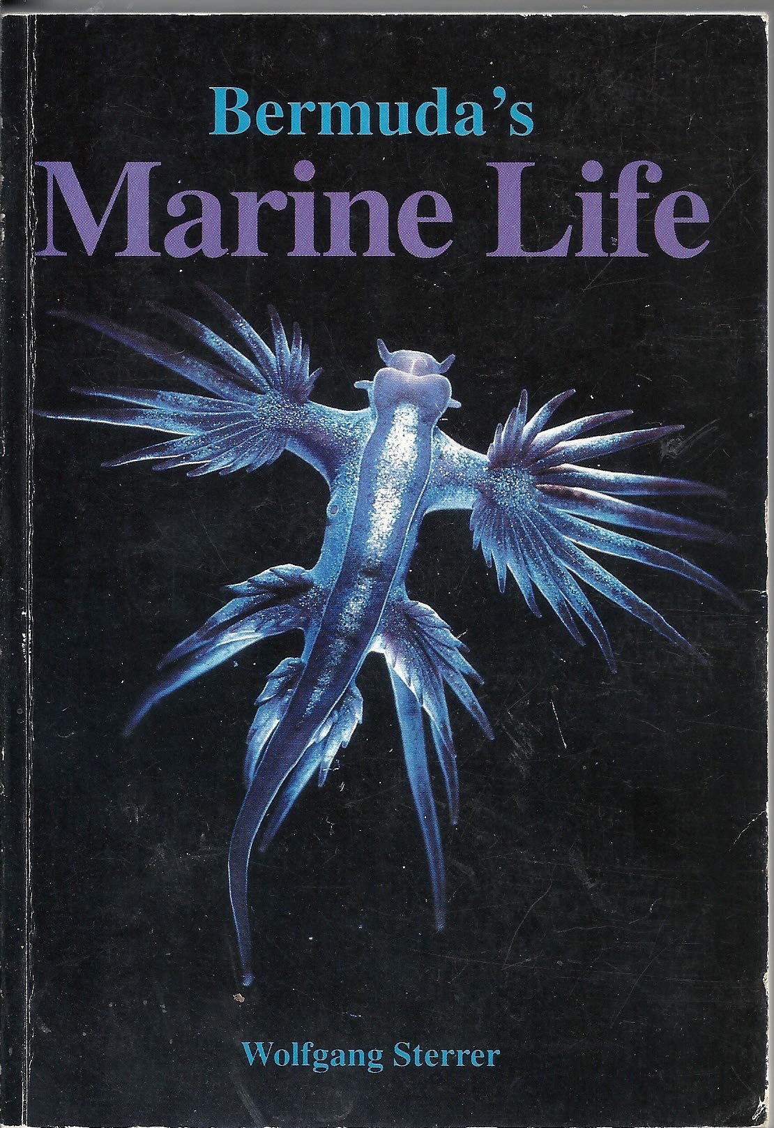 Bermuda's Marine Life by Wolfgang Sterrer Books