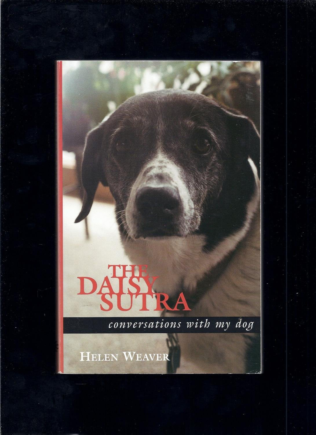 The Daisy Sutra: Conversations With My Dog Pets
