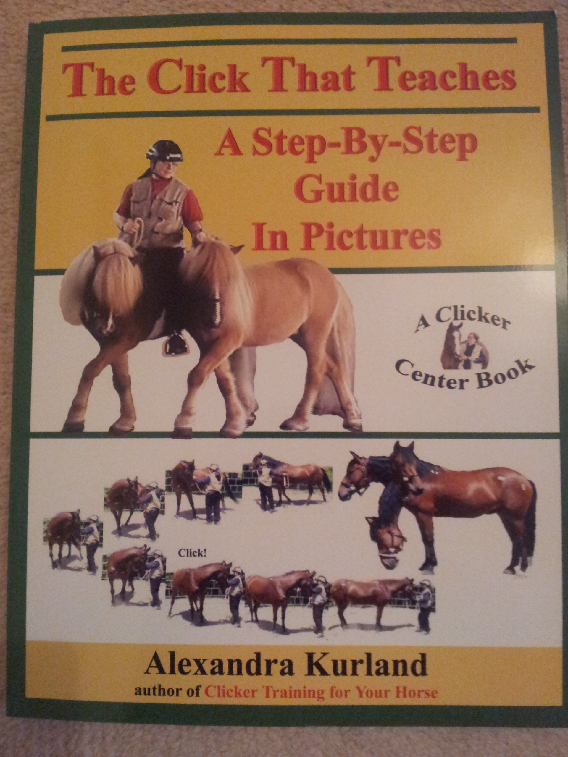 The Click That Teaches: A Step-By-Step Guide in Pictures book