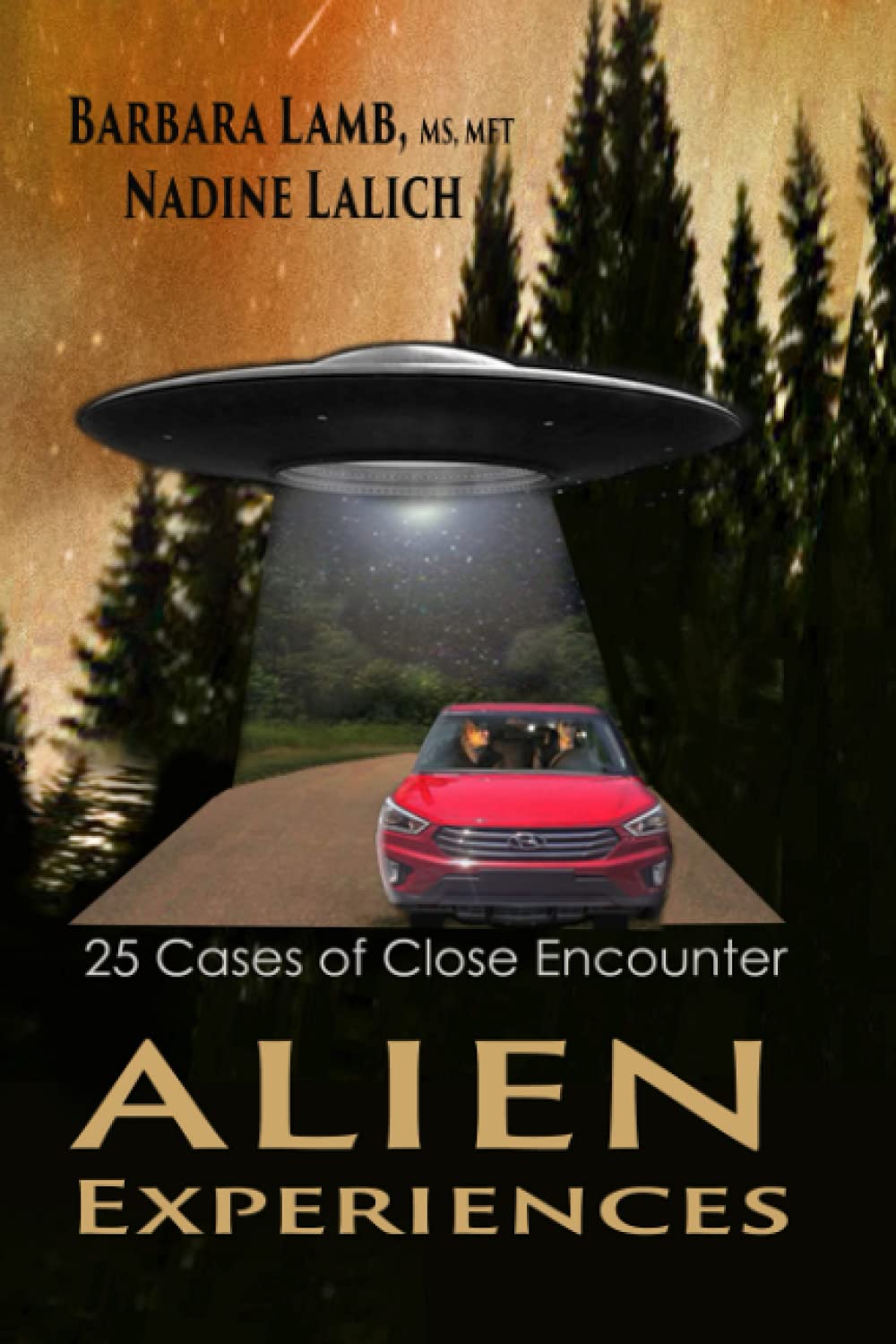 Alien Experiences: 25 Cases of Close Encounter book