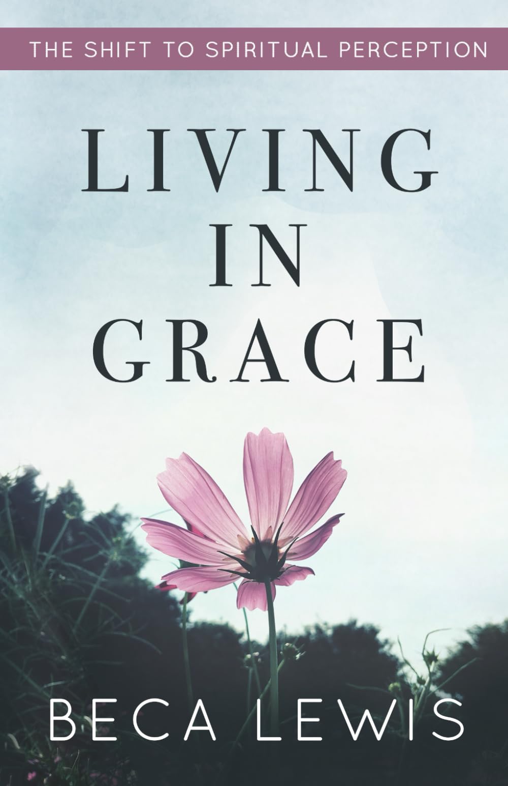 Living In Grace: The Shift To Spiritual Perception (The Shift Series) Parents & Children