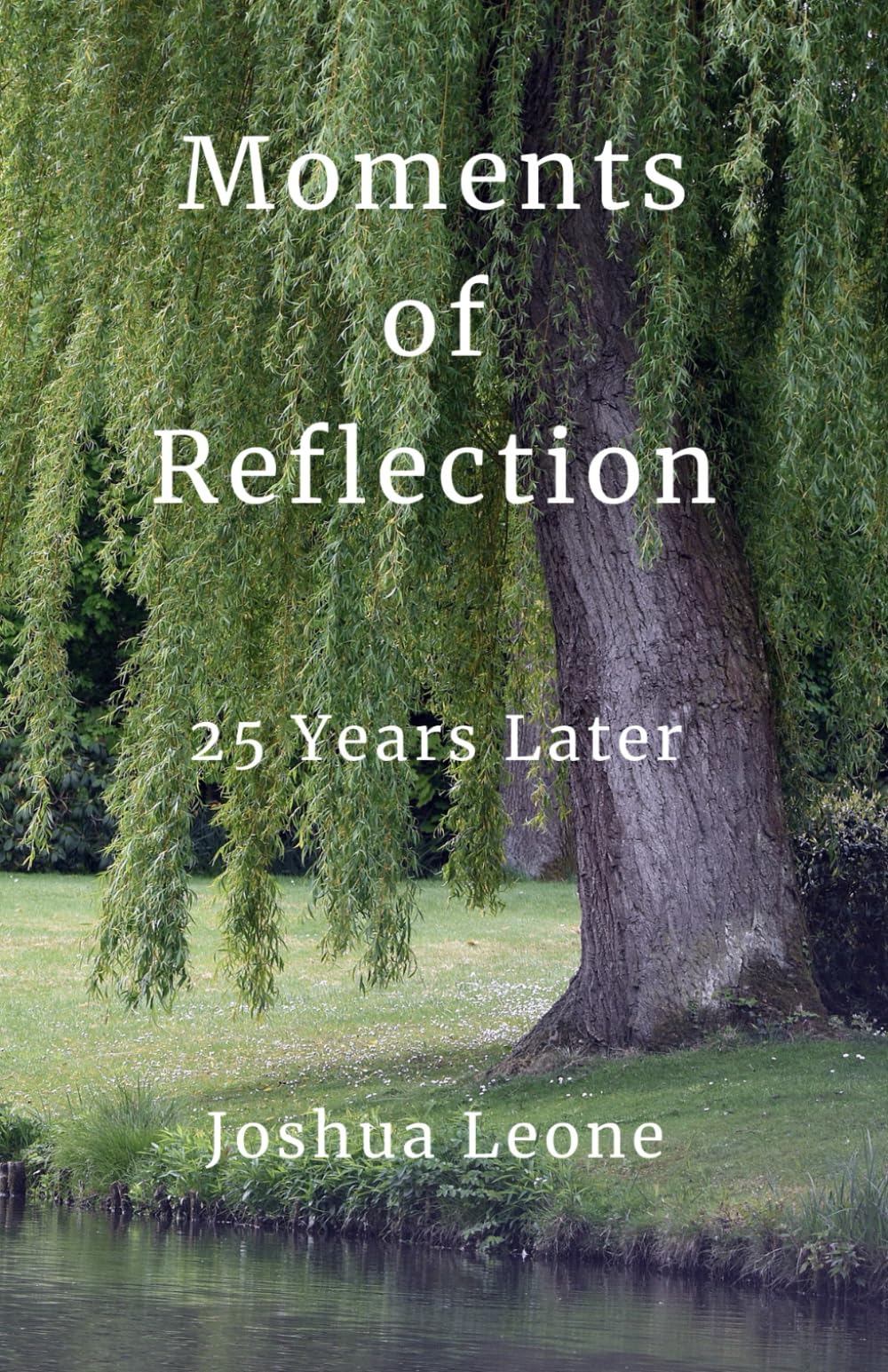 Moments of Reflection: 25 Years Later Contemporary literature