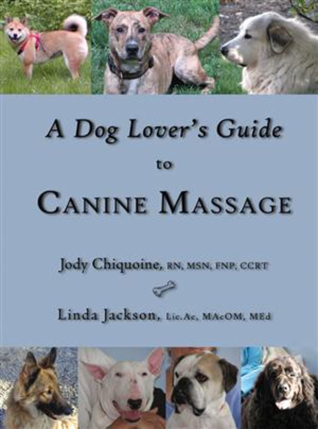 A Dog Lover's Guide to Canine Massage book