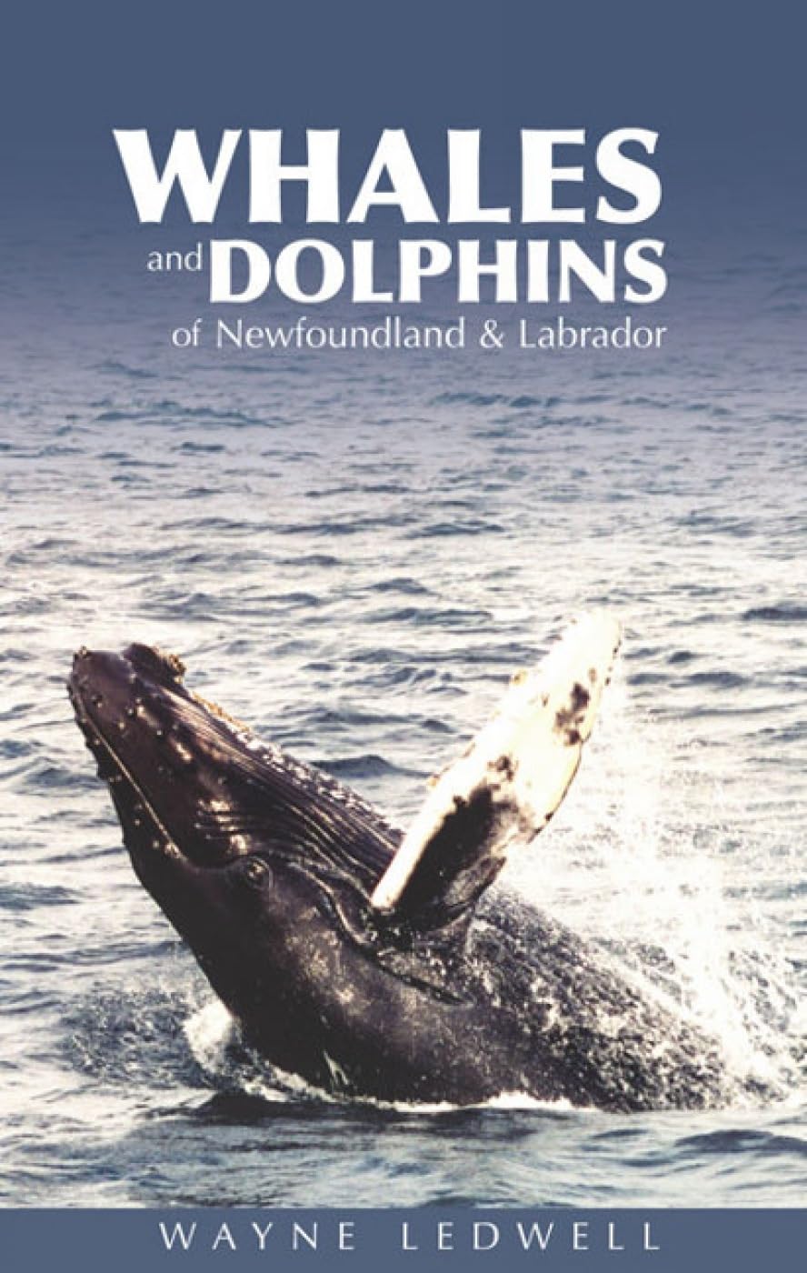 Whales and Dolphins of Newfoundland and Labrador book