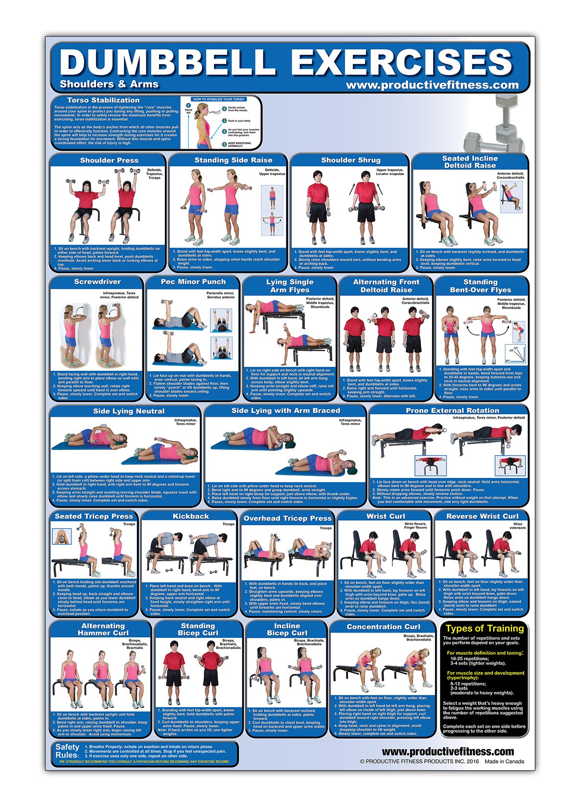 Laminated Dumbbell Exercise Poster/Chart - Shoulders and Arms - Created by Fitness Experts with University Degrees in Exercise Physiology etc. - ... - Fitness Poster - Dumbbell Workout Chart Books