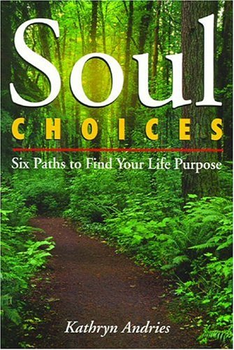 Soul Choices: Six Paths to Find Your Life Purpose Religion & Esotericism