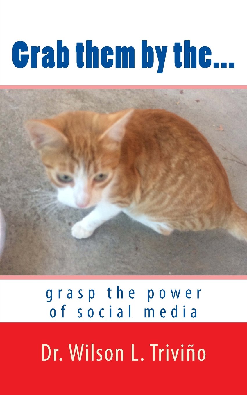 Grab them by the...: grasp the power of social media Books