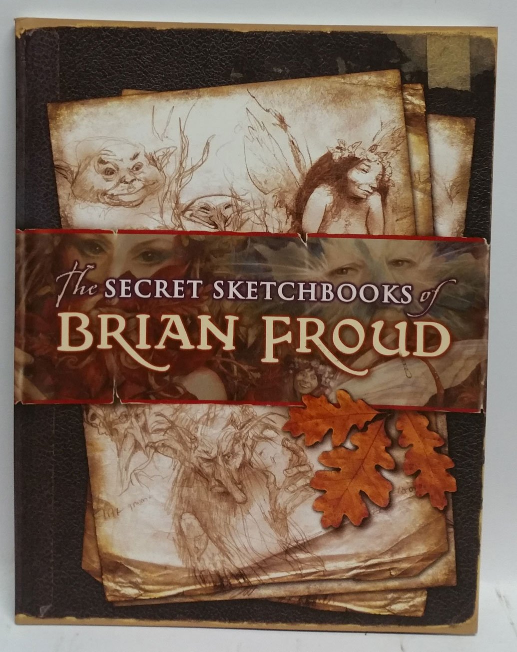 The Art of Amy Brown book