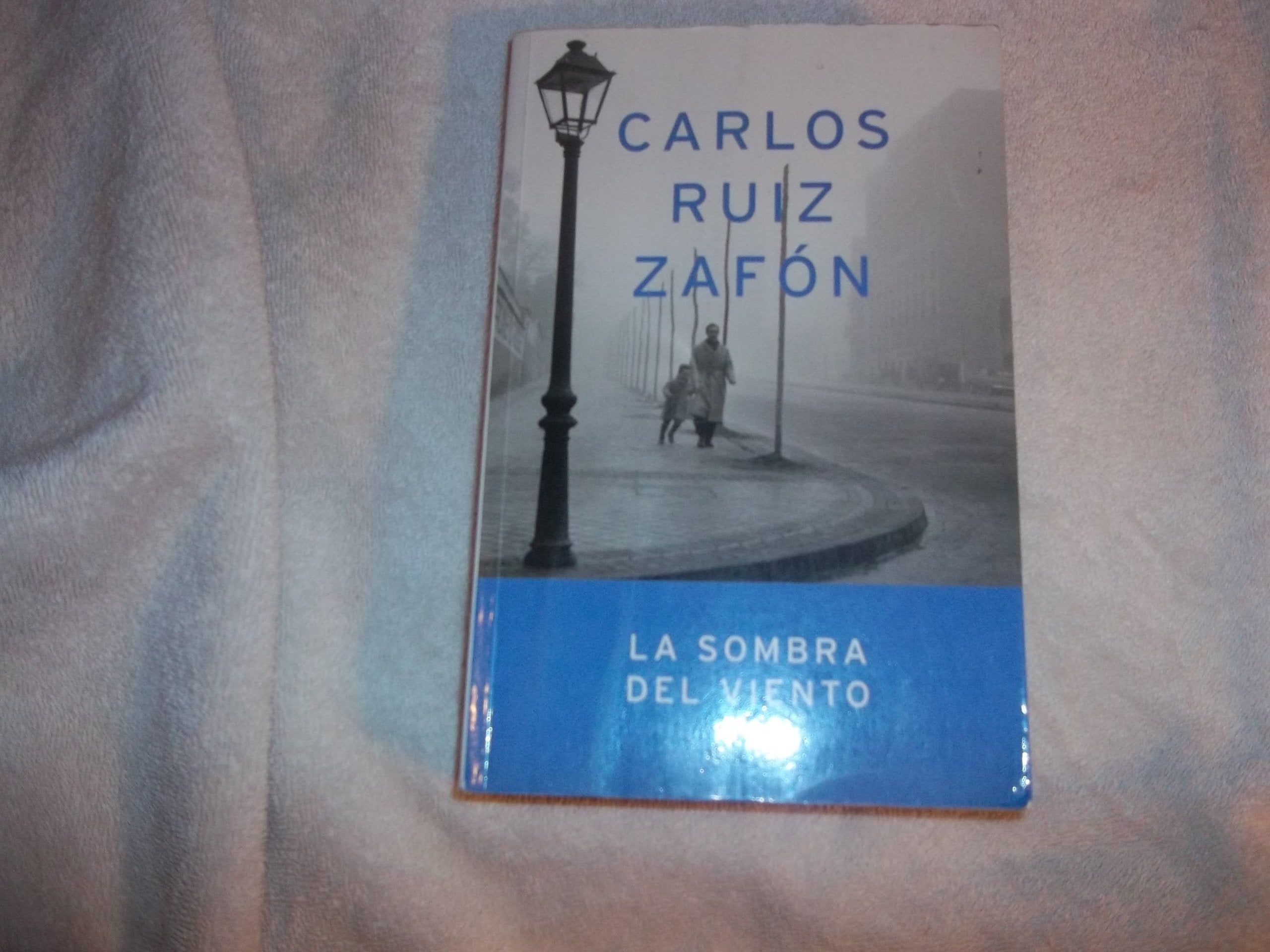La sombra del viento / The Shadow of the Wind Contemporary literature