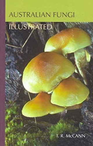 Product Image: Australian Fungi Illustrated