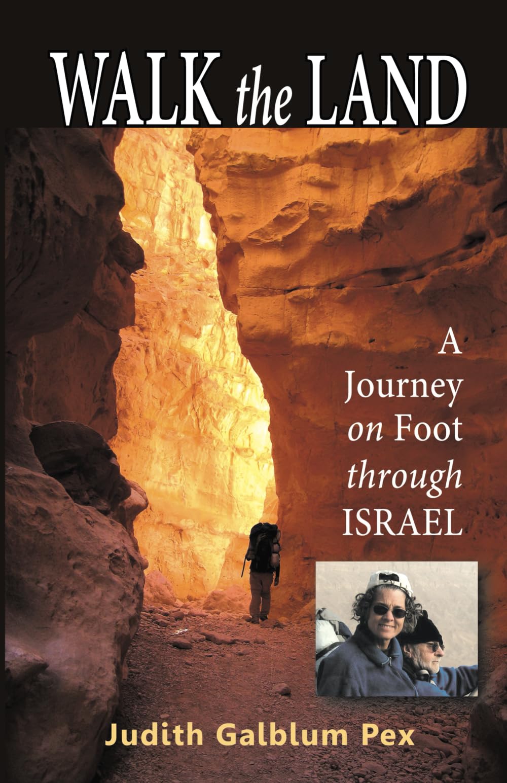Walk the Land: A Journey on Foot through Israel Art & Literature