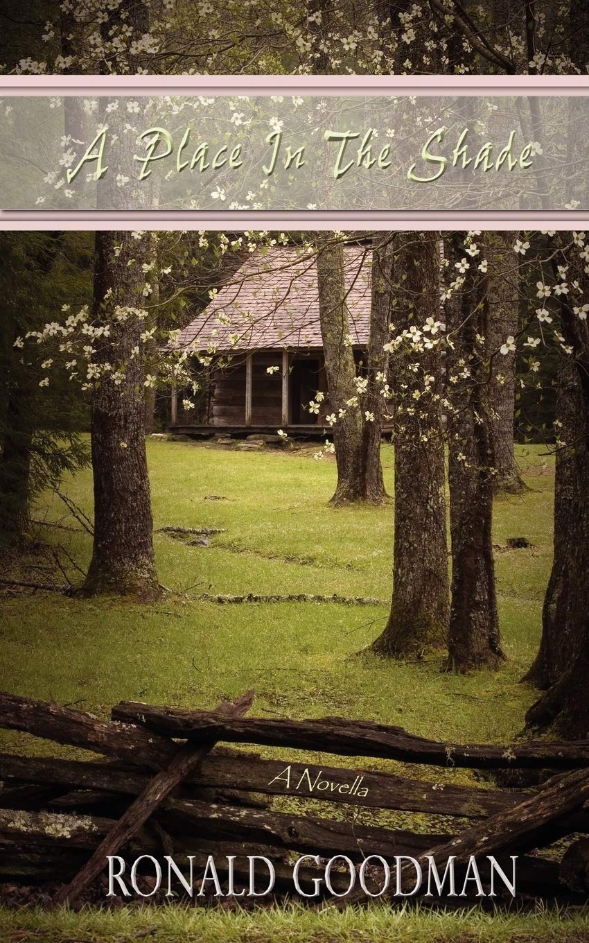 A Place in the Shade: A Novella Contemporary literature