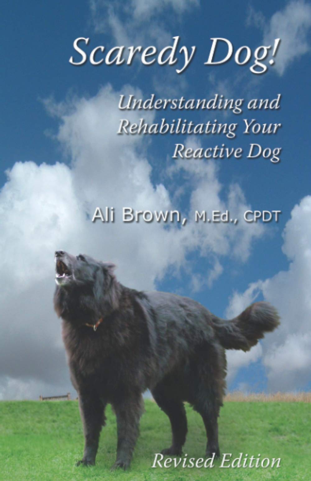 Scaredy Dog!: Understanding & Rehabilitating Your Reactive Dog: Understanding and Rehabilitating Your Reactive Dog Pets