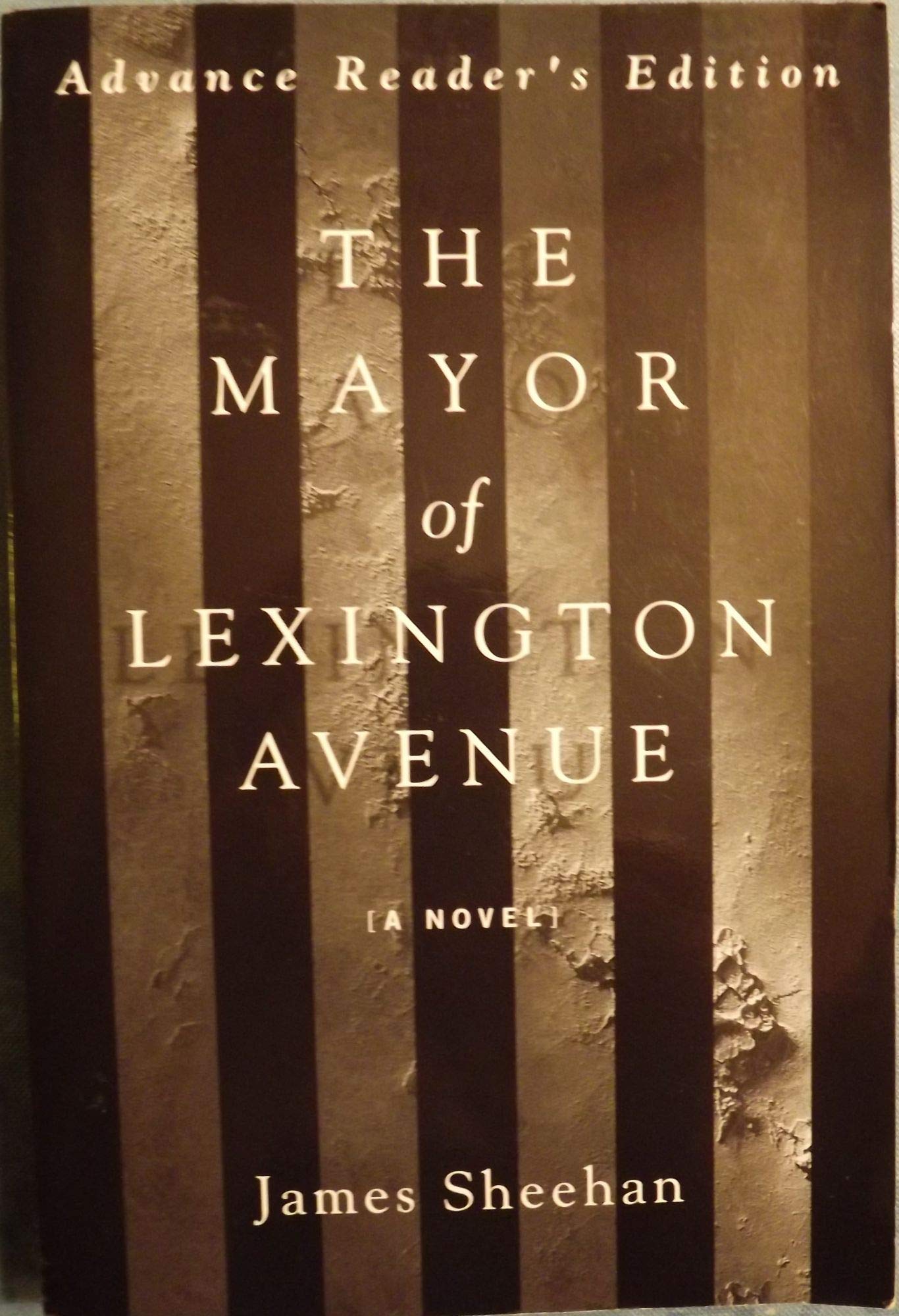 The Mayor of Lexington Avenue Contemporary literature