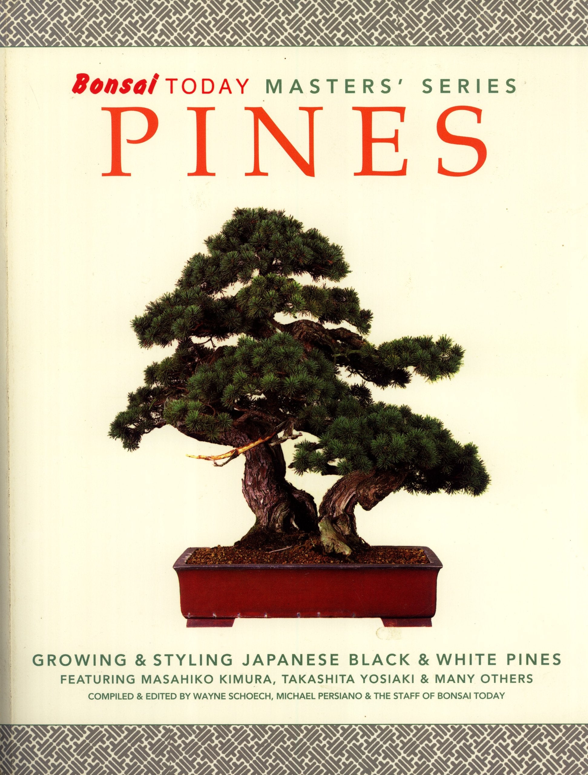 Pines : Growing and Styling Japanese Black and White Pines Books