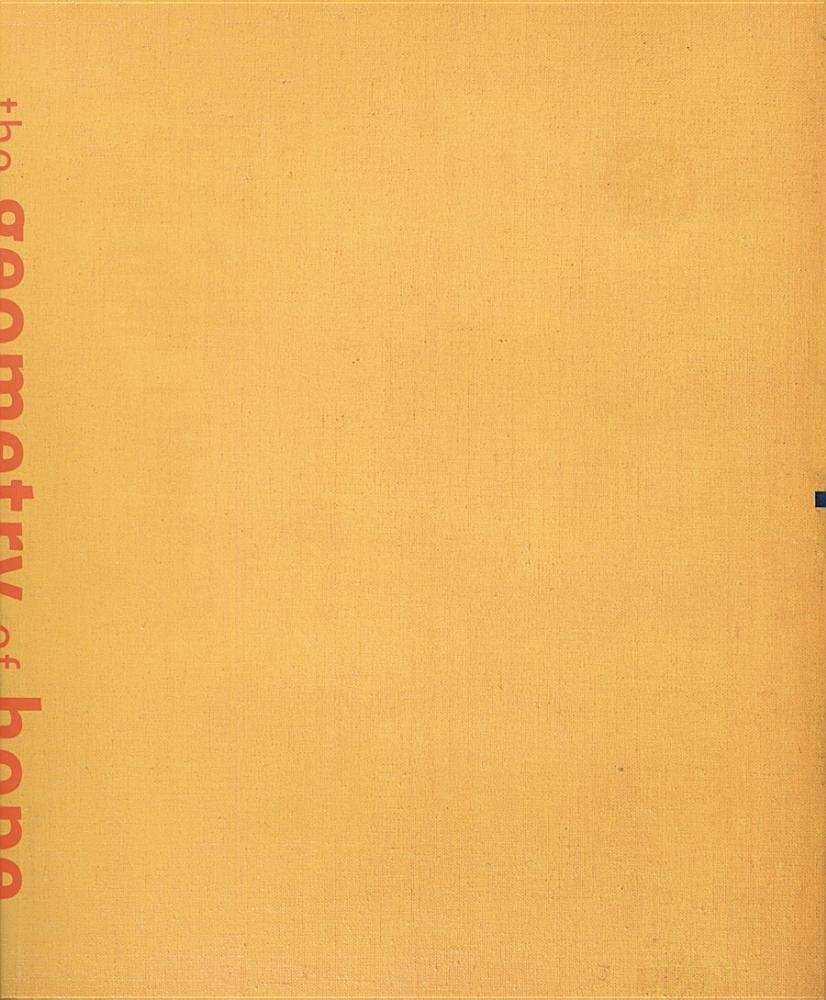 The Geometry of Hope: Latin American Abstract Art from the Patricia Phelps de Cisneros Collection Books