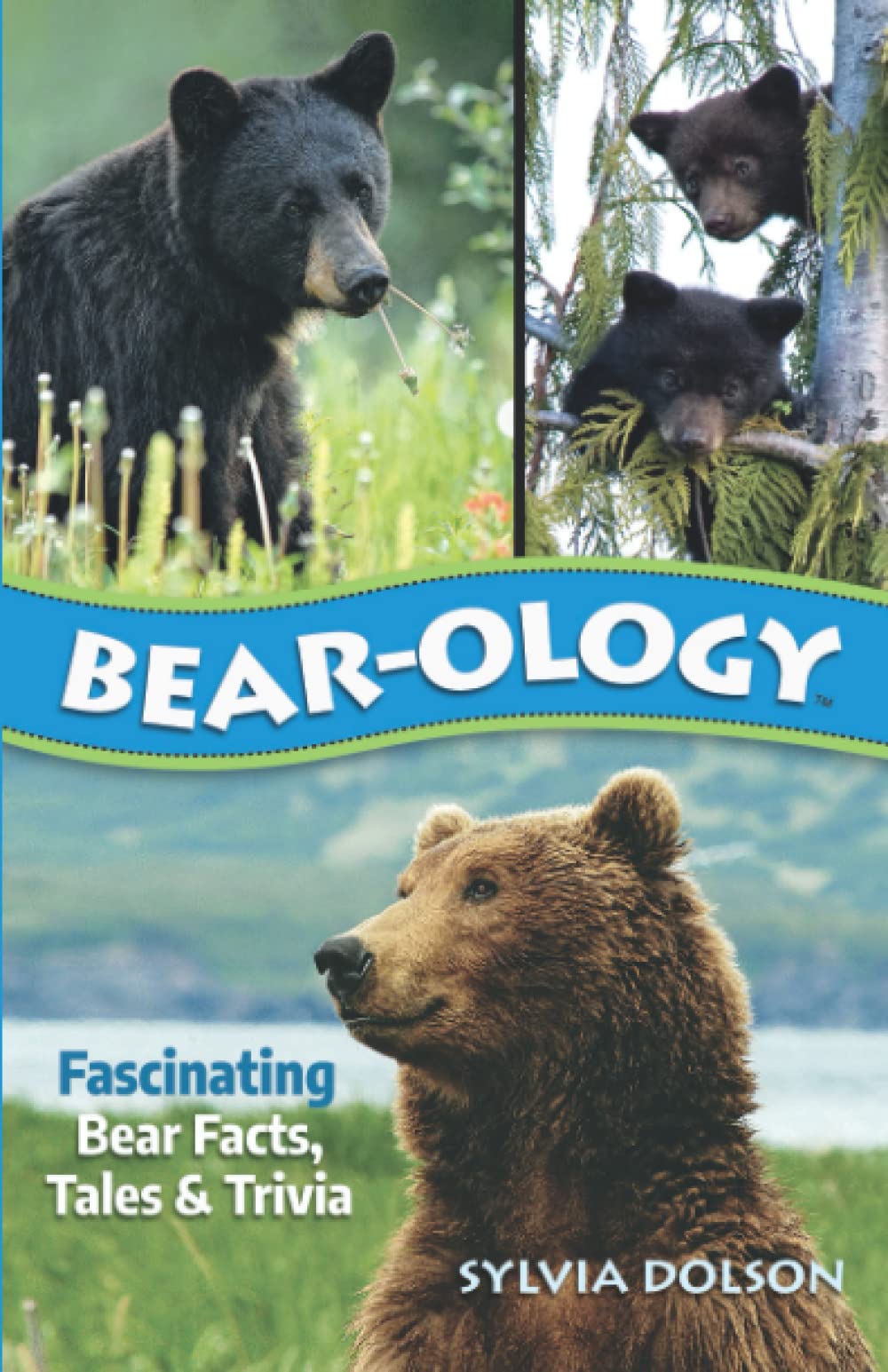 Bear-ology: Fascinating Bear Facts, Tales & Trivia Mathematics