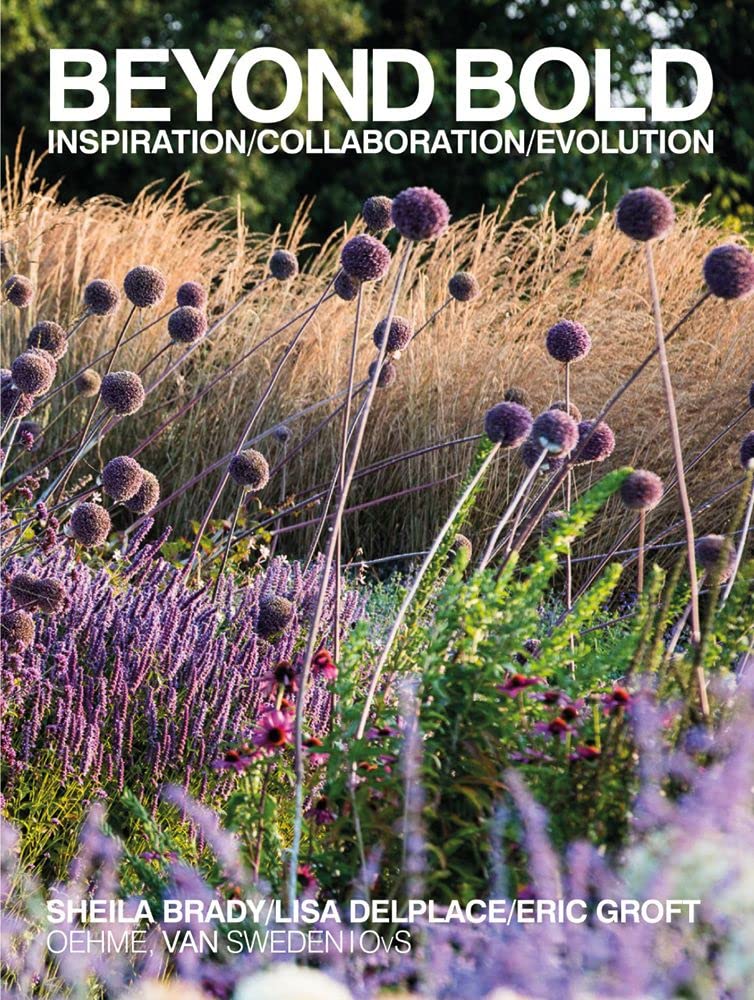 Beyond Bold: Inspiration, Collaboration, Evolution Architecture