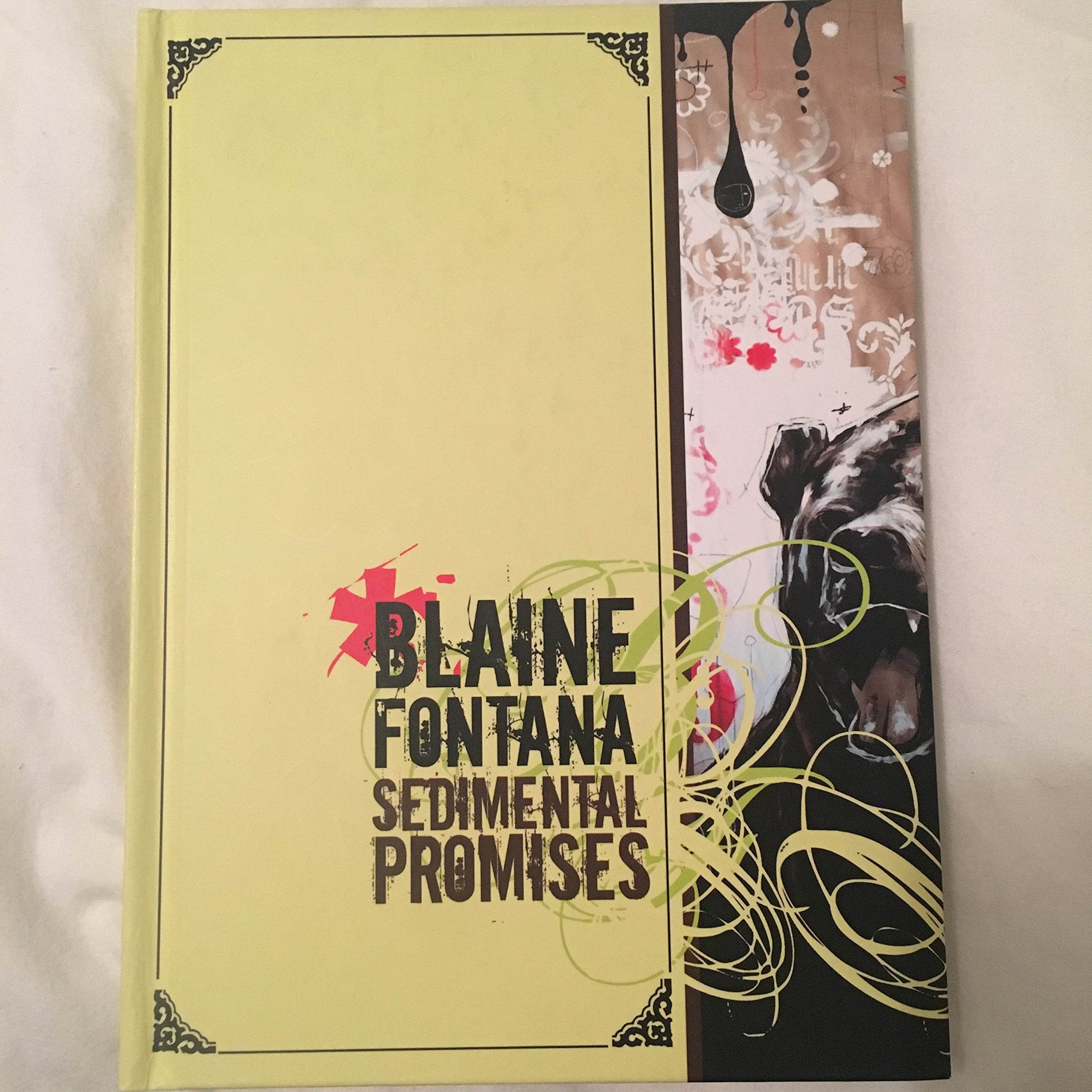 Blaine Fontana Sedimental Promises (Upper playground) book