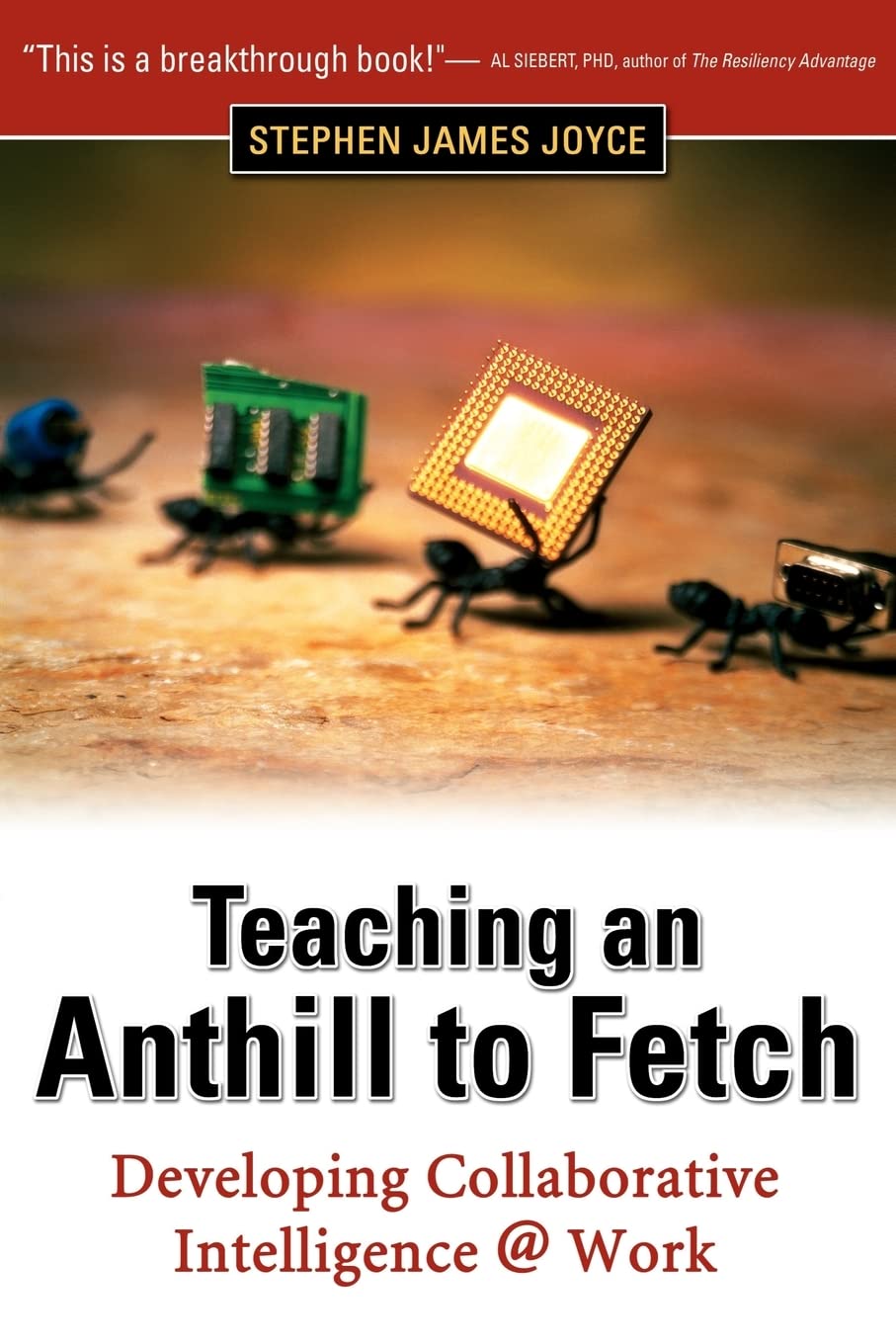 Product Image: Teaching an Anthill to Fetch