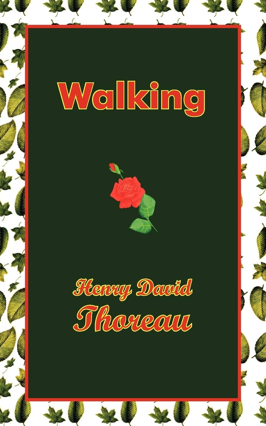 Walking Philosophy