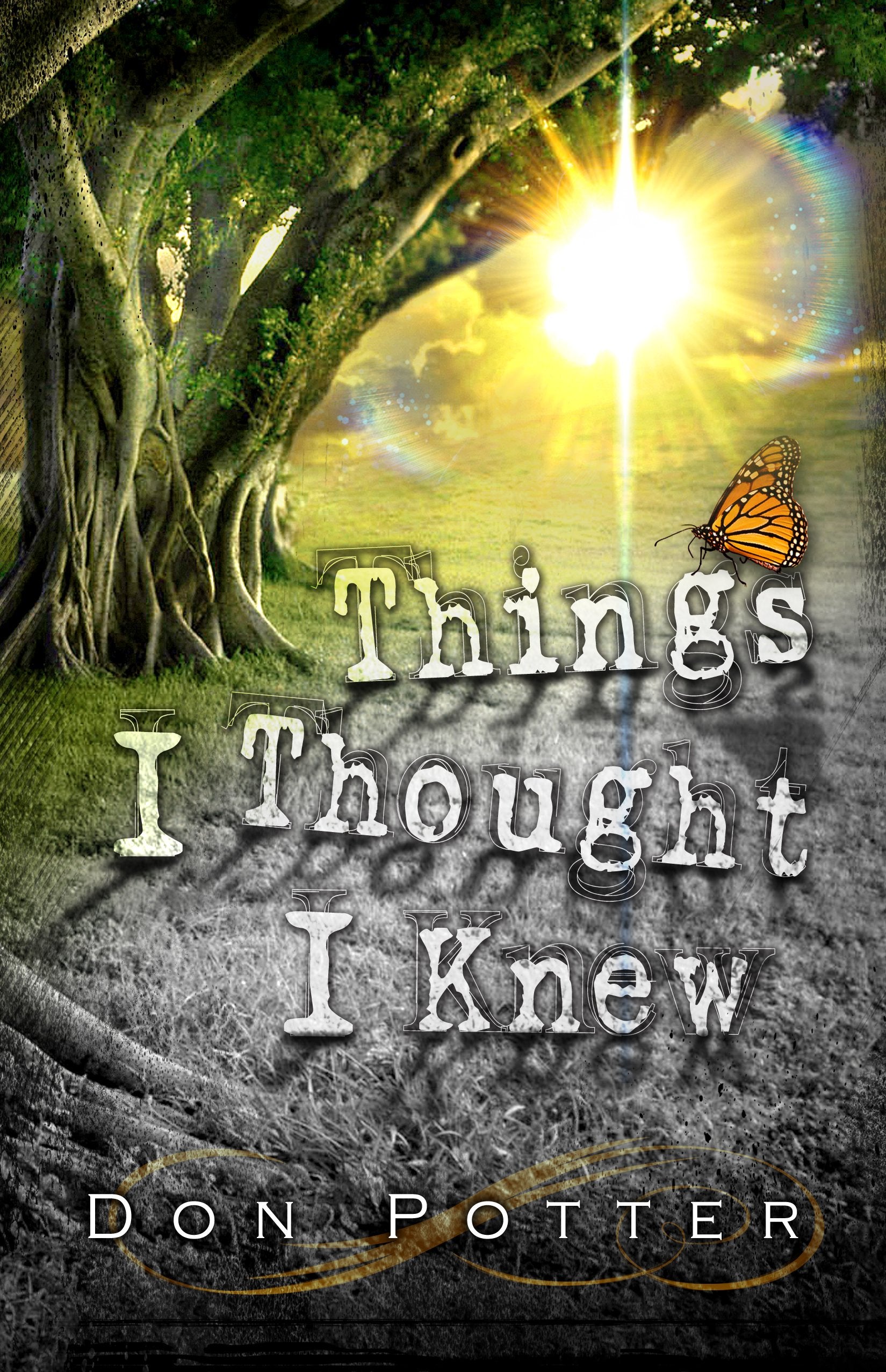 Product Image: Things I Thought I Knew