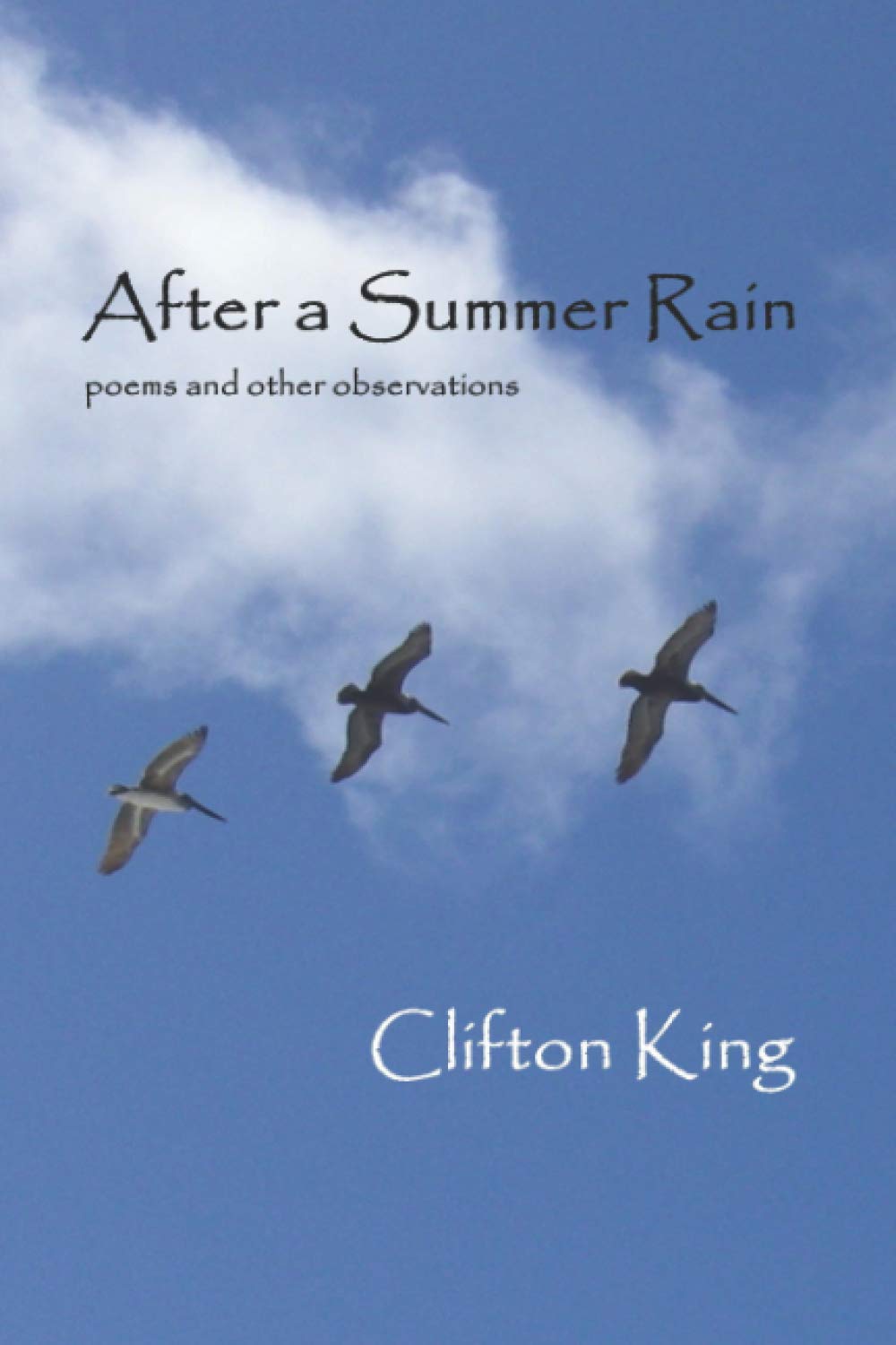 After a Summer Rain: poems and other observations Poetry