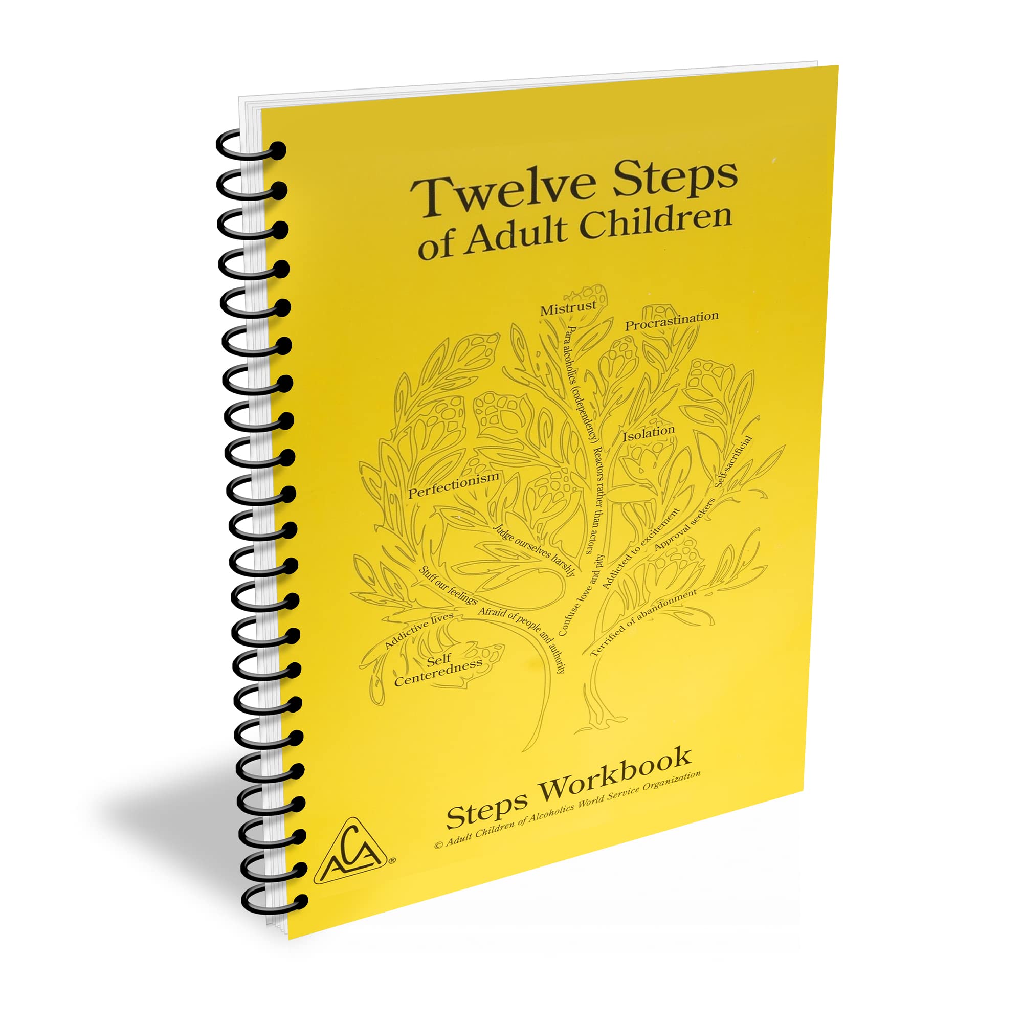 Twelve Steps of Adult Children Steps Workbook (Softcover, Spiralbound) Books