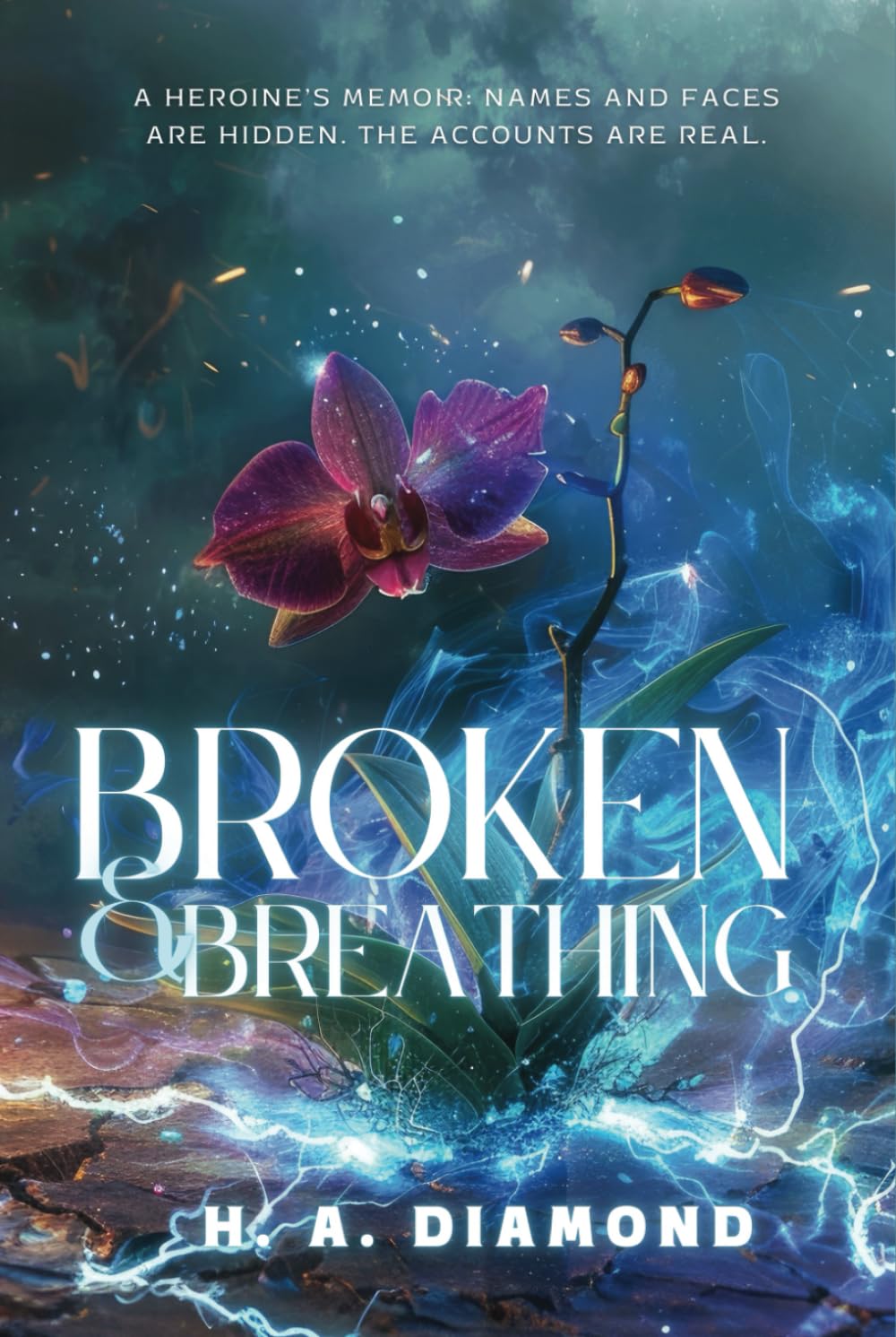 Broken & Breathing: A Heroine’s Memoir: Names and Faces Are Hidden. The Accounts Are Real. Art & Literature
