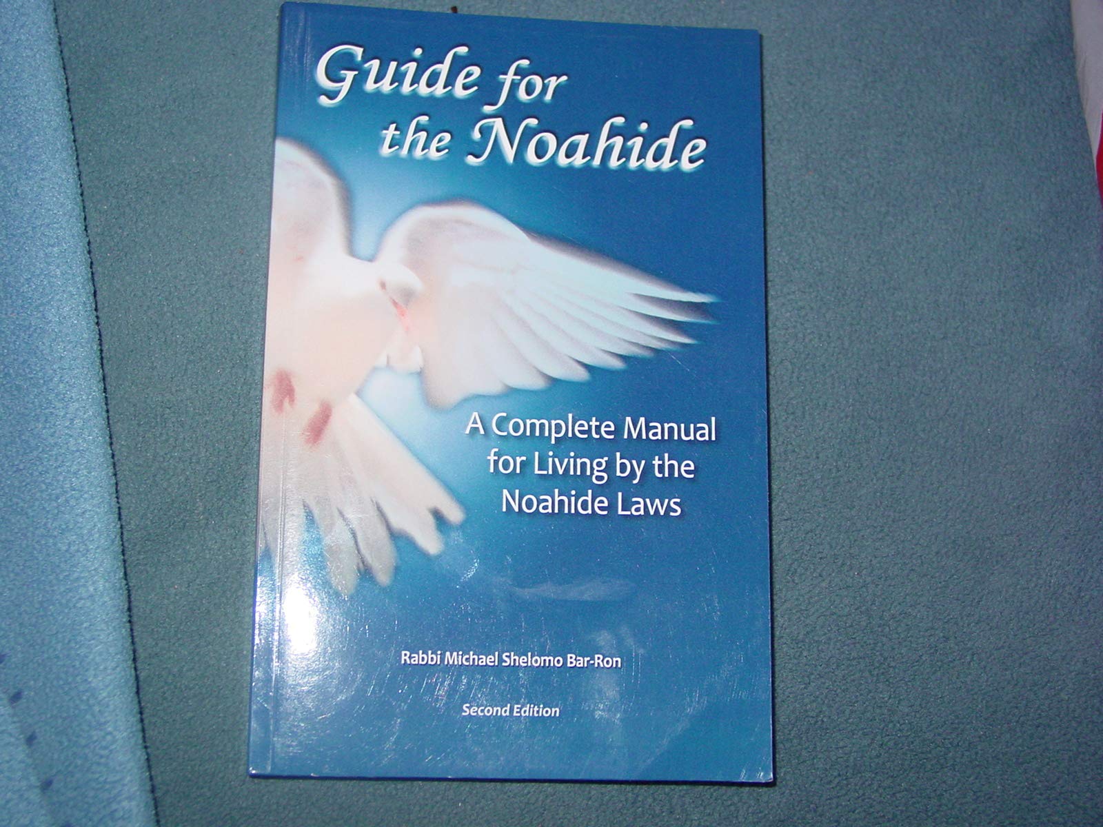 Guide for the Noahide: A Complete Guide to the Laws of the Noahide Covenant and Key Torah Values for All Mankind Religion & Esotericism