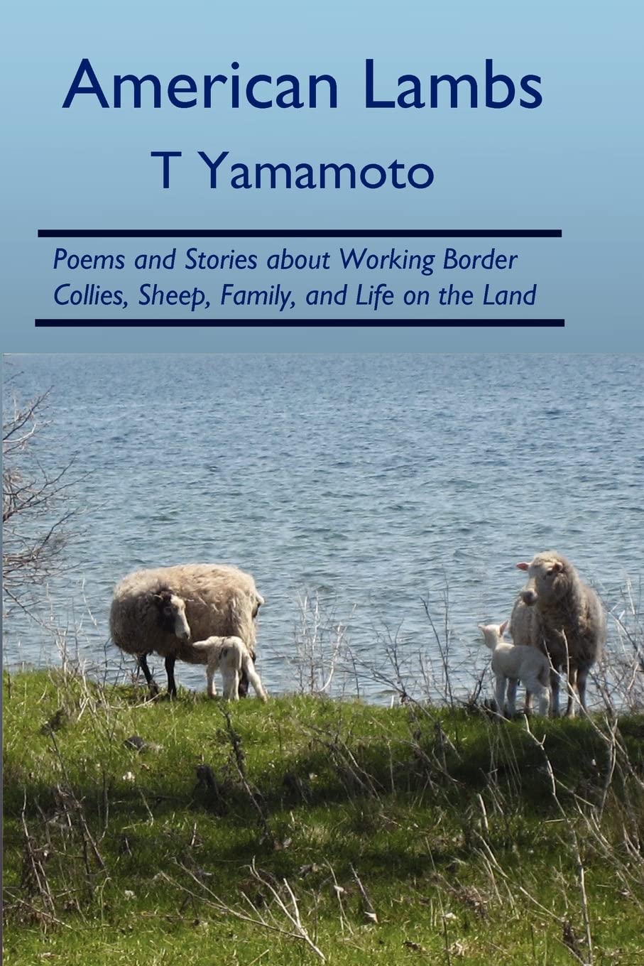 Product Image: American Lambs