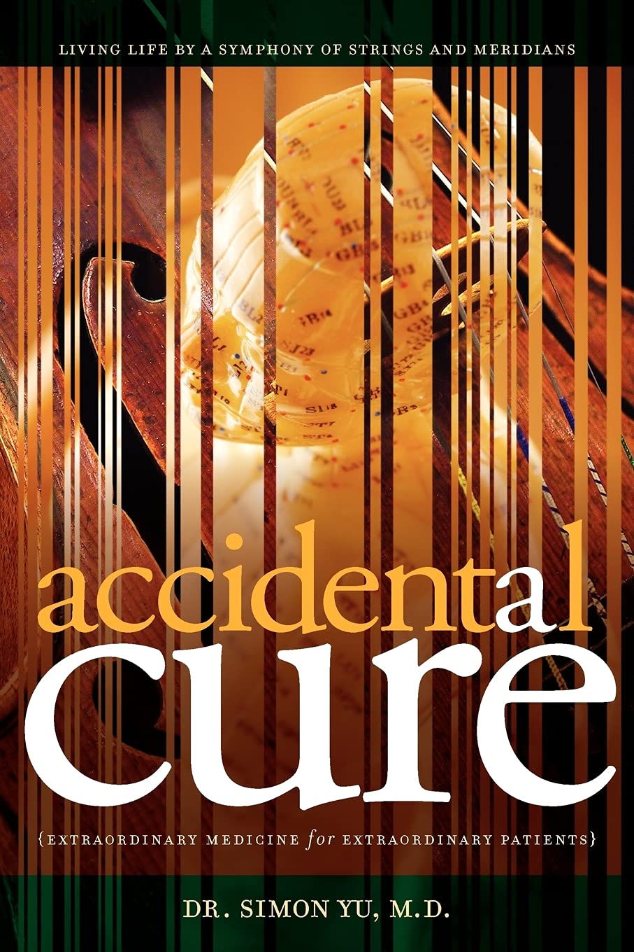 Accidental Cure: Extraordinary Medicine for Extraordinary Patients (Medical Acupuncture, Band 1) Medicine