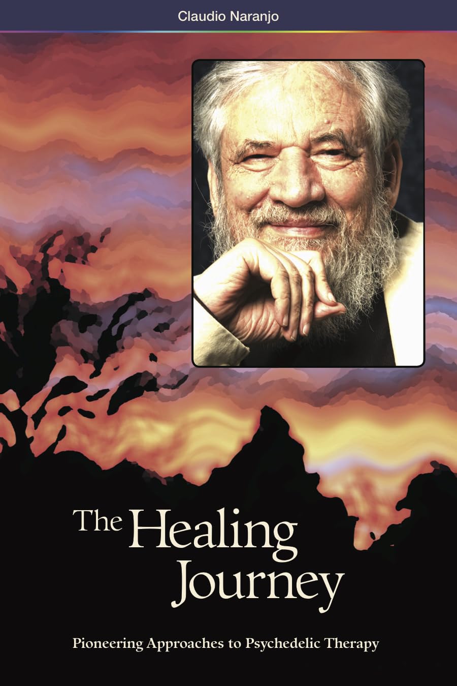 The Healing Journey: Pioneering Approaches to Psychedelic Therapy book