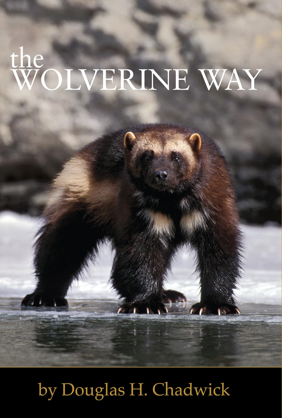Product Image: The Wolverine Way