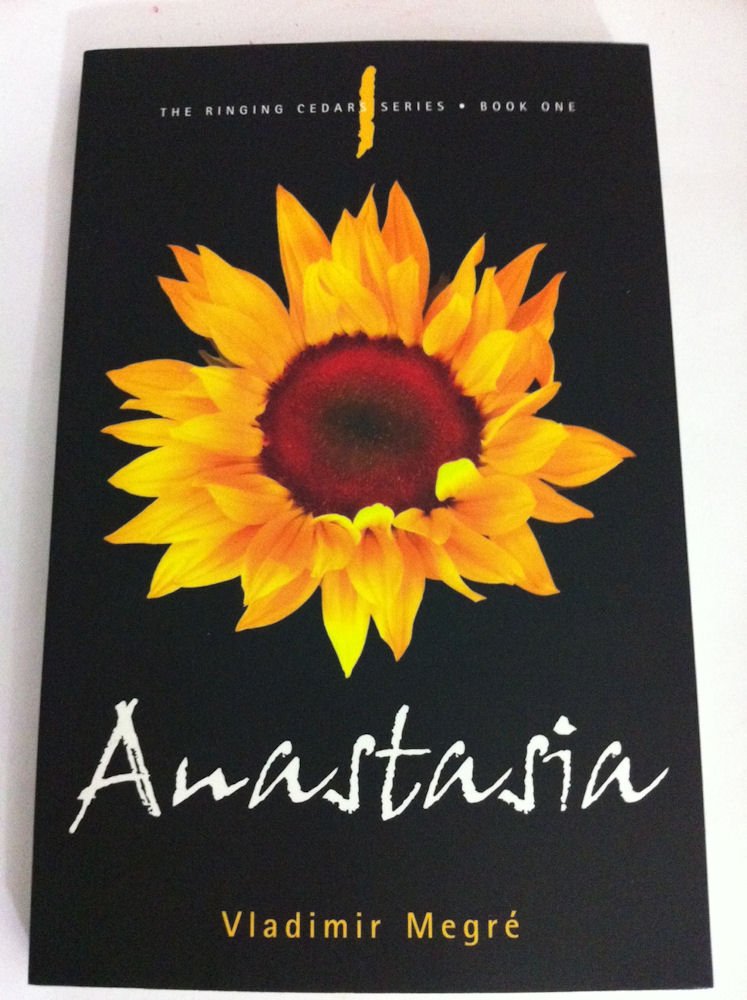 Anastasia (The Ringing Cedars, Band 1) Mathematics